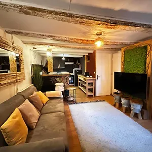Appartement T3 Boheme - Vieille, Annecy